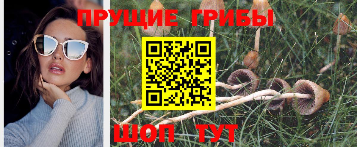 Азов  Псилоцибиновые грибы MAGIC MUSHROOMS  Вход с VPN 